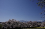 _IGP5327 _IGP5327