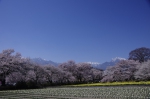 _IGP5339 _IGP5339
