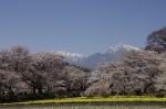 _IGP5345 _IGP5345