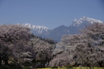 _IGP5348 _IGP5348