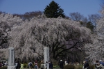_IGP5360 _IGP5360