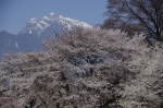 _IGP5375 _IGP5375