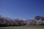 _IGP5384 _IGP5384