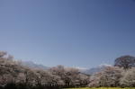 _IGP5393 _IGP5393