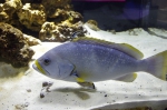 _IGP6839 _IGP6839