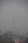 _IGP7404 _IGP7404