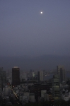 _IGP7407 _IGP7407