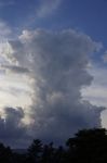 110713_natu_1 入道雲