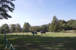 111009_jyo_8 ポニーライド