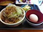 111126_skiya_1 白髪ねぎ牛丼