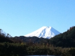 111204_nifes_01 111204_nifes_01