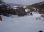 120129_01 ホーンのコブ