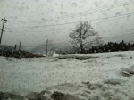 120323_1 さのさか到着♪