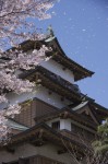 120428_takasima_01 諏訪高島城
