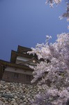 120428_takasima_02 諏訪高島城