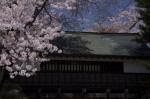 120428_takasima_04 諏訪高島城