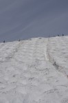 120429_hgoryu_4 大会コース