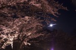 120506_sakura_5 桜と月