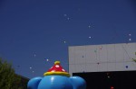 120804_donban_01 茅野どんばん、開幕〜