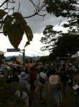 120815_suwako_i_1 第3ゲート待ちの列最後尾