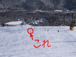 スノーナビさんの写真