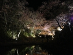 130405_etc_1