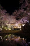 130405_tkt_01