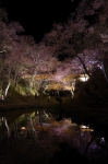 130405_tkt_02