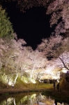 130405_tkt_03