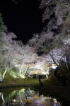 130405_tkt_06