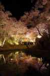 130405_tkt_10