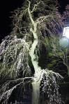 130405_tkt_13