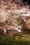 130405_tkt_19