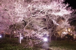 130405_tkt_20