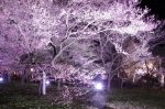 130405_tkt_21