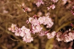 130405_tkt_23