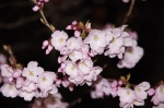 130405_tkt_24