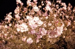 130405_tkt_25