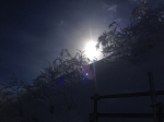 天気は良いね♪