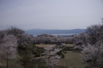 水月公園臨時駐車場から諏訪湖
