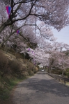 水月公園