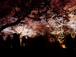高遠城址公園02