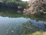 竜神池