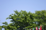 運動会