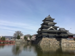 松本城/桜