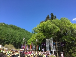 空が綺麗