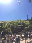 冠落とし中