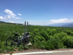 エコーライン16kmコース折り返し