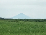 富士山アップ