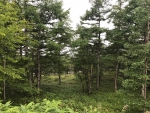 途中の展望台